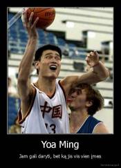 Yoa Ming - Jam gali daryti, bet ką jis vis vien įmes