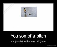 You son of a bitch - You just divided by zero, didn,t you