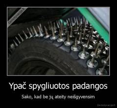 Ypač spygliuotos padangos - Sako, kad be jų ateity neišgyvensim