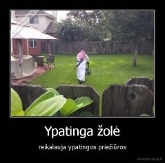 Ypatinga žolė - reikalauja ypatingos priežiūros