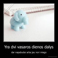 Yra dvi vasaros dienos dalys - dar nepabudai arba jau nori miego