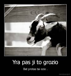 Yra pas ji to grozio - Bet protas tai ozio .