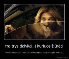 Yra trys dalykai, į kuriuos žiūrėti  - niekada nenusibosta: tekantis vanduo, ugnis ir besiparkuojanti moteris...