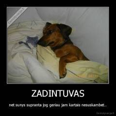 ZADINTUVAS - net sunys supranta jog geriau jam kartais nesuskambet..
