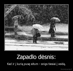 Zapadlo dėsnis: - Kad ir į kurią pusę eitum - snigs tiesiai į veidą.