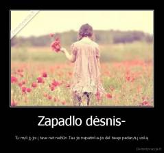 Zapadlo dėsnis- - Tu myli jį-jis į tave net nežiūri.Tau jis nepatinka-jis dėl tavęs padarytų viską