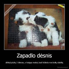 Zapadlo dėsnis - dėlioji pūzlę 2 dienas, o baigęs matai, kad trūksta vos kelių dalelių