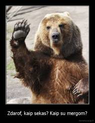 Zdarof, kaip sekas? Kaip su mergom? - 