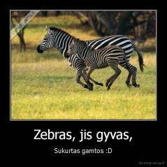 Zebras, jis gyvas, - Sukurtas gamtos :D