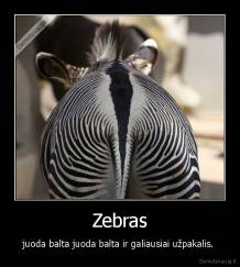 Zebras - juoda balta juoda balta ir galiausiai užpakalis. 