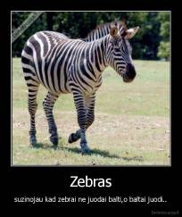Zebras - suzinojau kad zebrai ne juodai balti,o baltai juodi..