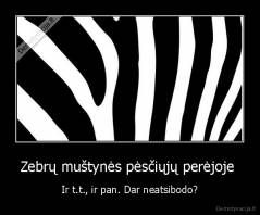 Zebrų muštynės pėsčiųjų perėjoje  - Ir t.t., ir pan. Dar neatsibodo?