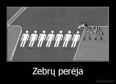 Zebrų perėja - 