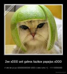 Zee xDDD ant galvos kazkox papajus xDDD - ir kate dar po juo xDDDDDDDDDDD xDDD o kates rozha >:[   XXXXXDDDDDDD
