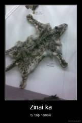 Zinai ka - tu taip nemoki