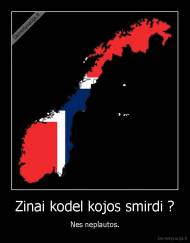 Zinai kodel kojos smirdi ? - Nes neplautos.