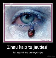 Zinau kaip tu jautiesi  - kai nepatvirtina demotyvacijos