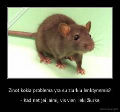 Zinot kokia problema yra su ziurkiu lenktynemis? - - Kad net jei laimi, vis vien lieki žiurke
