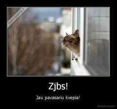 Zjbs! - Jau pavasariu kvepia!