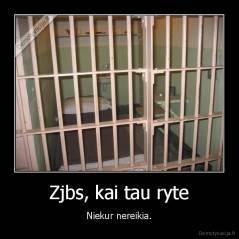 Zjbs, kai tau ryte - Niekur nereikia.