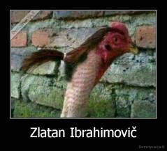 Zlatan Ibrahimovič - 