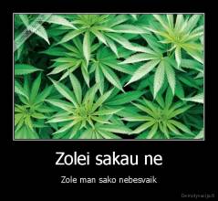 Zolei sakau ne - Zole man sako nebesvaik