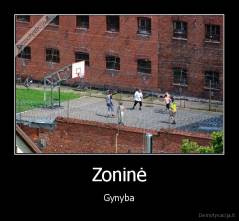 Zoninė - Gynyba