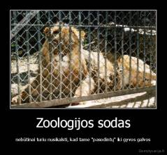 Zoologijos sodas - nebūtinai turiu nusikalsti, kad tame "pasodintų" iki gyvos galvos