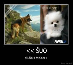 << ŠUO - pliušinis žaislas>>