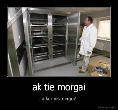 ak tie morgai - o kur visi dingo?
