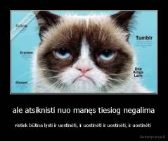 ale atsiknisti nuo manęs tiesiog negalima - vistiek būtina lysti ir uostinėti, ir uostinėti ir uostinėti, ir uostinėti 