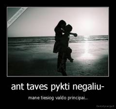 ant taves pykti negaliu- - mane tiesiog valdo principai..