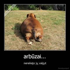 arbūzai... - nereikėjo jų valgyt