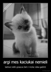 argi mes kaciukai nemieli - katinai netik graazus bet ir moka viska gadinti
