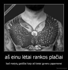 aš einu lėtai rankos plačiai - kad matytų gaidžiai kaip aš kietai gyvenu pąsamonei