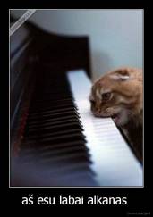 aš esu labai alkanas  - 