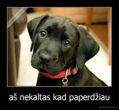aš nekaltas kad paperdžiau - 