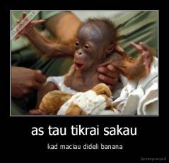 as tau tikrai sakau -  kad maciau dideli banana