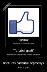 bachuras bachurui nepasakys - kokia tu grazi