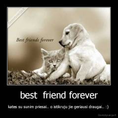 best  friend forever - kates su sunim priesai.. o istikruju jie geriausi draugai.. :) 