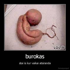 burokas - stai is kur vaikai atsiranda