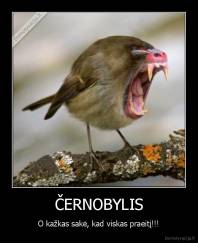 ČERNOBYLIS - O kažkas sakė, kad viskas praeitį!!!