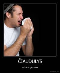 ČIAUDULYS - mini orgazmas