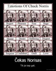 Čekas Norisas - Tik jis taip gali.