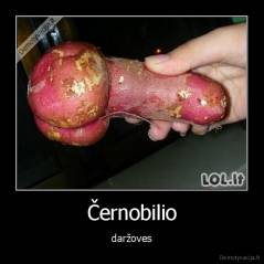 Černobilio - daržoves