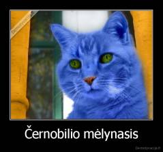 Černobilio mėlynasis - 