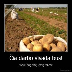Čia darbo visada bus! - Sveiki sugryžę, emigrantai!