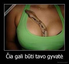Čia gali būti tavo gyvatė - 