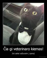 Čia gi veterinaro kiemas! - Juk sakei važiuosim į operą!