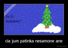 cia jum patinka nesamone ane - 